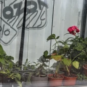 c154d91e3f4871c0334fa115ab6f0b44