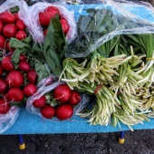 d5f956586597599821cb5fe8d389dd6f