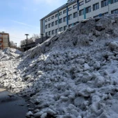 d79603169efed309056e48ca42da5eff