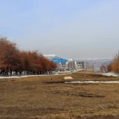 da7e234a6f101dad7e462d68f2982b14