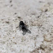 e3533ce66212141961e119399f5e9d59