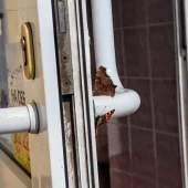 fa64581758c4b4121551c2a4e8603352