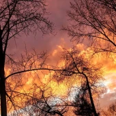 02e59369a5db494a4853612e393abfee