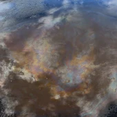 056b1a5b12f32e1cdac6b72d95658095