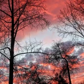 0fe272d8922b75560dcfa76eb430c2dc