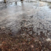 1def0468f9e82d59743223e1d022ee66