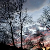 1e763ea6ff295762216f6441d6edacd9