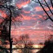 1f3901b69326072bf7f3eabd377d8461