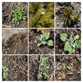 2de927fbebd196ee618f81a8a35fffff