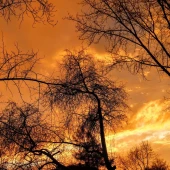 4db9590b8201a6d37b383be7409d6615