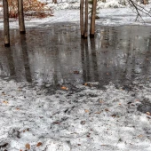 502f0ca9f645dd81b20242dbf98496b2