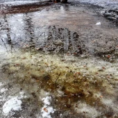 7e5a9bca62e61bcab35a2cf688aaf179