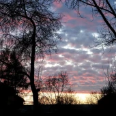 8f3f9c4af0de5c9b20a382b56b56d3df