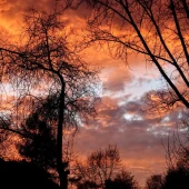 9075ab2cee035692831761837910c3d3