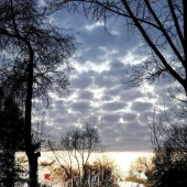 9714bfa89fb6a28e006b40880b1cfe1e