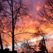 98a966da89eef698c998a7cf8c96bcca