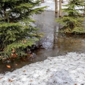 bf2977b960f8d768fdc5c205ff2b8e48