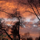 c1f4b270311f24fa9ee752f5ce2fe661