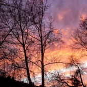 ca1cadd8871a210983ff262ed72e1e2d