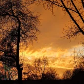 ce83904105f68e9c20c47c27a06429a5