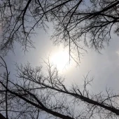 ec7117ecd789318229f5c65c1cbe5e73