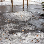 ed1f1aca7cdb15c3c93dd3511918ecf0