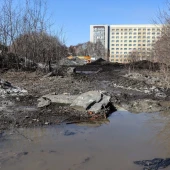 1f8186717135b044796404fad260c46d