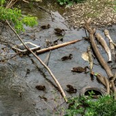 3f843534d5449dbaa86c531920662f79