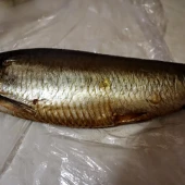 78bf725ea8866bb2d18e7c67a991b3f0