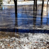 8b343c27487918bd3f5fa9df313f853a