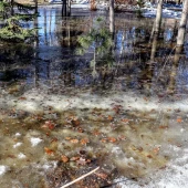 e3574874f5b3324c7b87b9ae1ee397f5