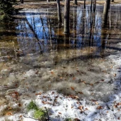 f71769b8d4c996c3c0213ec3e14e74f9