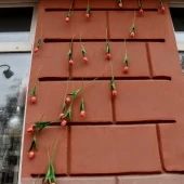 28b667580fd4f950e565aed44a481798