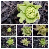 41ade9aa1a0f57bd96d2bfe7961933a1