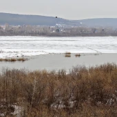 4f82d8f6b02839c7079cff920150d142