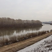 6e52ad244f862aa212c4a267c962a410