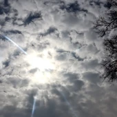 80d8130d04b08cf8154c69a274396c59