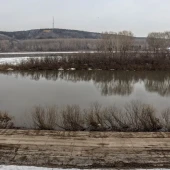 c46ba0526d7afd1ff61ea76c076fb1c4