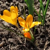 fecc4d457d402c86490ef3eaf19a6562