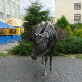 186bdc7db4b14c9f56cc489921b97885