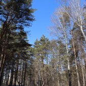 22e56a0823e310df8f8ab8abba025f3e