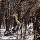 31f5e6d9b44220e8617e9ec463905095