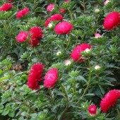 33ac597c55df07a1e6542da2d968c7a7