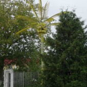 40f75e708e5cf9a0b1683e9d4e90ddd9