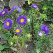 47bf4abb2570ad80f615595c2097bd3b