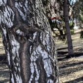 5197eb8b504555fa614179da1e0a4ea4