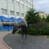 53f6b76bf1ac95593be635abc748c41f