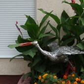 8a60001dd1f9f8bcab94bcd04d097b09