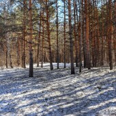 b6f4a230041a05f9ef58f3e35faf97c1