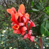 c32fa1c0ea891d6ddb570749fdf69ea4